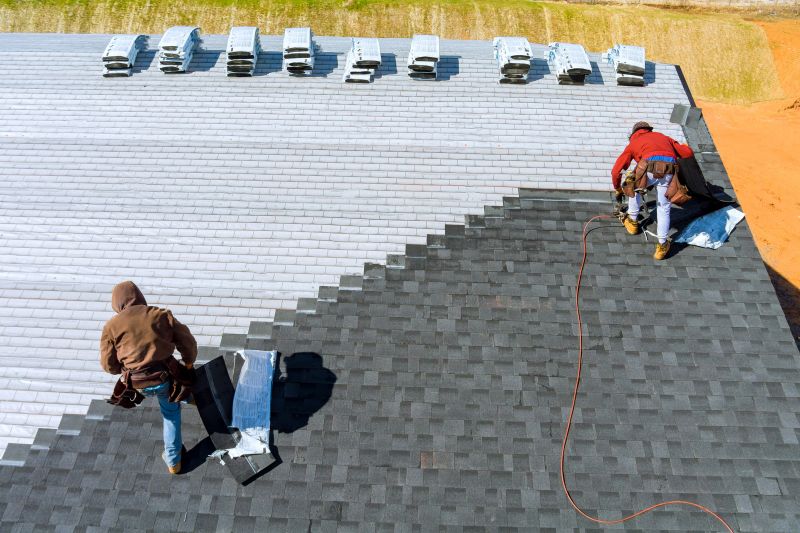 Roof Repair Consultation
